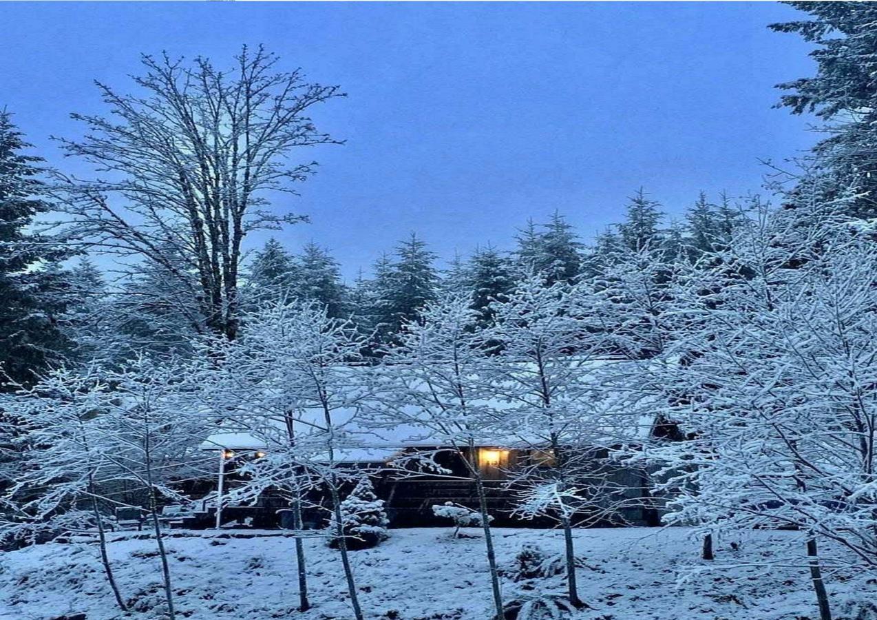 Packwood Ski & Vacation Getaway 外观 照片