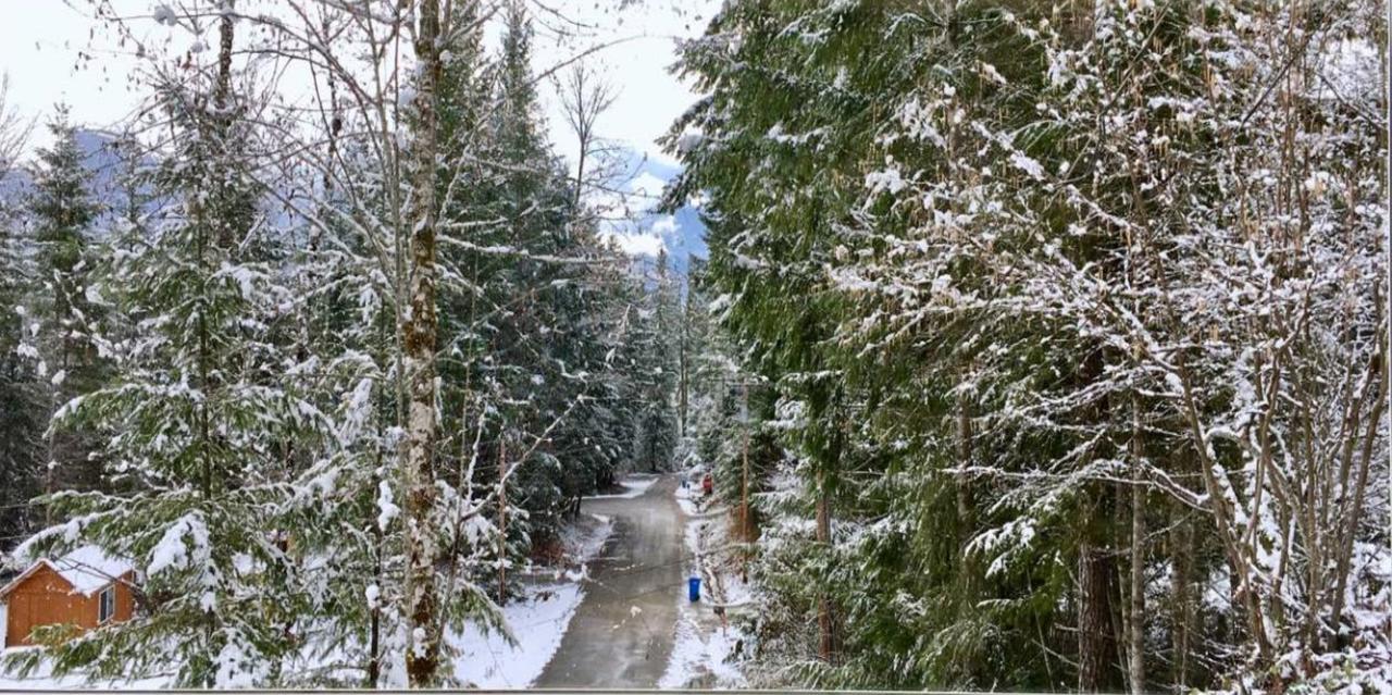 Packwood Ski & Vacation Getaway 外观 照片